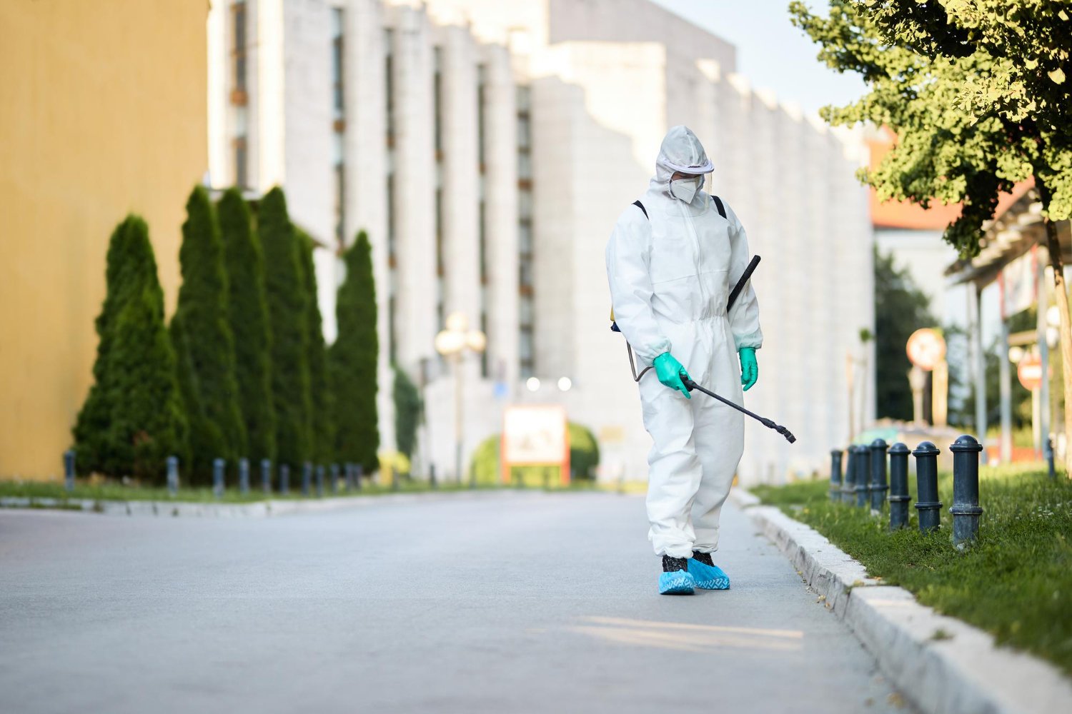 Smarter Pest Protection in Brisbane: How to Keep Your Property Safe Year-Round